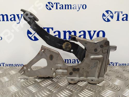 Break pedal NISSAN QASHQAI / QASHQAI +2 I (J10, NJ10, JJ10E)  | BP8784230I19 