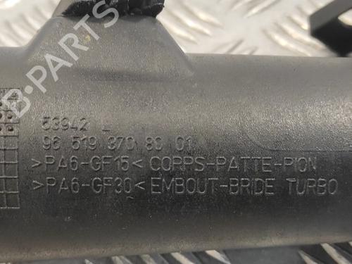 Pipe PEUGEOT 607 (9D, 9U) 2.2 HDi | BP18961831M125 