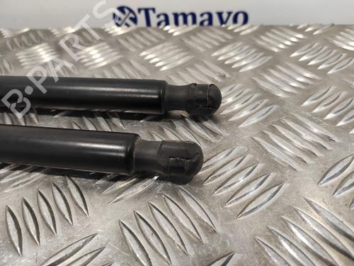 Tailgate lift support FORD KUGA I 2.0 TDCi | BP14358253C138 