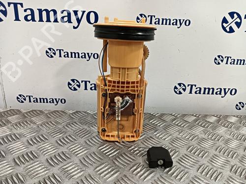 Fuel pump VW TRANSPORTER T5 Van (7HA, 7HH, 7EA, 7EH)  | BP19113436M76 