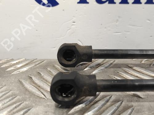 Tailgate lift support RENAULT CLIO IV (BH_)  | BP19341937C138 