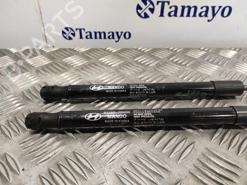 Hood lift support HYUNDAI SANTA FÉ II (CM)  | BP18082234C139 