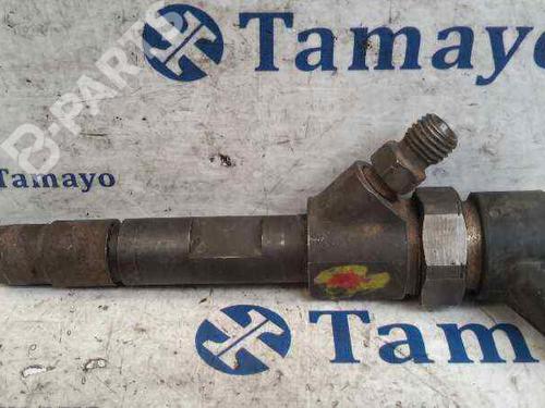 Used Injector RENAULT MEGANE II Coupé-Cabriolet (EM0/1_) 1.9 dCi (120 hp) 4209756