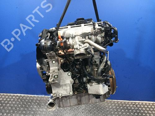 Used Engine AUDI A3 (8P1) [2003-2013]  29182182