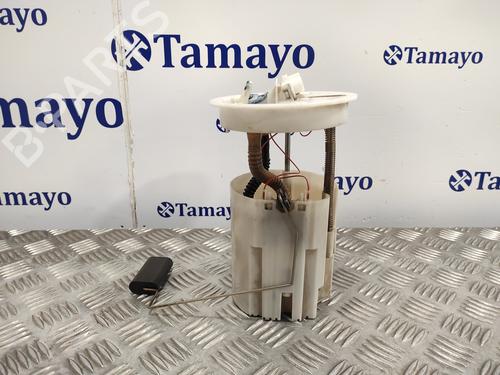 Fuel pump FORD C-MAX II (DXA/CB7, DXA/CEU) 1.6 TDCi | BP19483770M76 