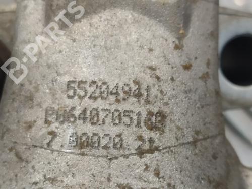 Egr FIAT GRANDE PUNTO (199_)  | BP10660061M69 
