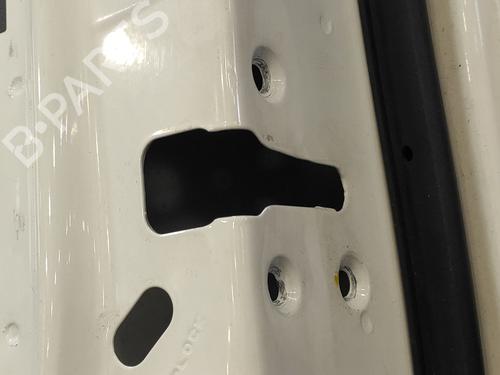 Right rear door NISSAN PATHFINDER III (R51)  | BP9552518C5 