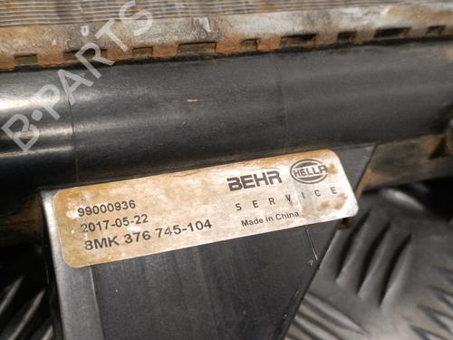 Water radiator FIAT DUCATO Van (250_)  | BP15772417M31 