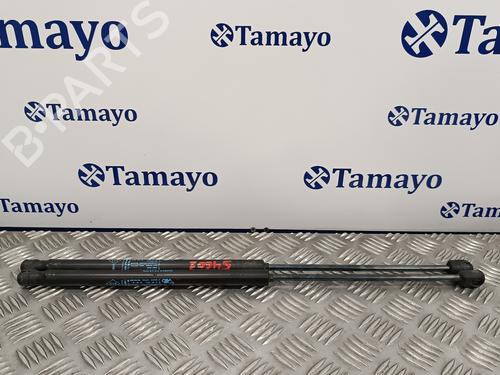 Used Tailgate lift support DACIA SANDERO [2008-2025]  15244793