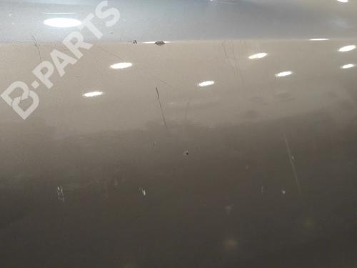 Right front door MERCEDES-BENZ E-CLASS (W211) E 240 (211.061) | BP11528644C3 