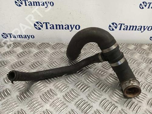 Other MERCEDES-BENZ SPRINTER 4,6-t Platform/Chassis (B906)  | BP25433348O1 