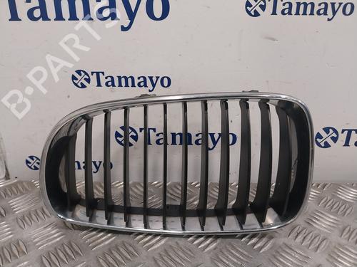 Grille BMW 1 (E87)  | BP25715451C40