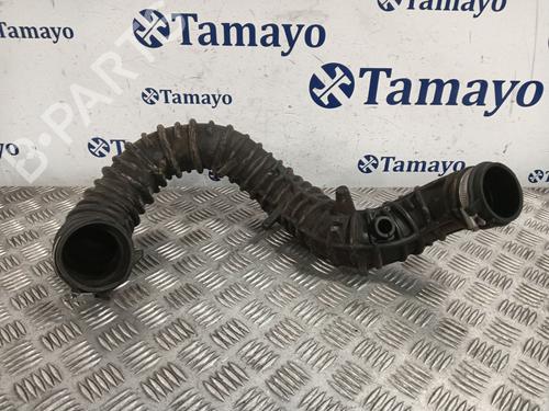 Rør OPEL VIVARO A Bus (X83) 2.0 CDTI (F7, J7, A07) | BP29545000M125 