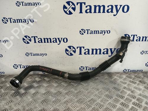 Rohr für RENAULT KANGOO / GRAND KANGOO II (KW0/1_) 1.5 dCi 85 (KW0K, KW0L, KW0B) (86 hp) 31164239