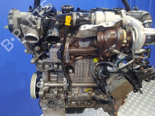 Engine FORD ECOSPORT 1.5 TDCi | BP40088358M1 - Image 11