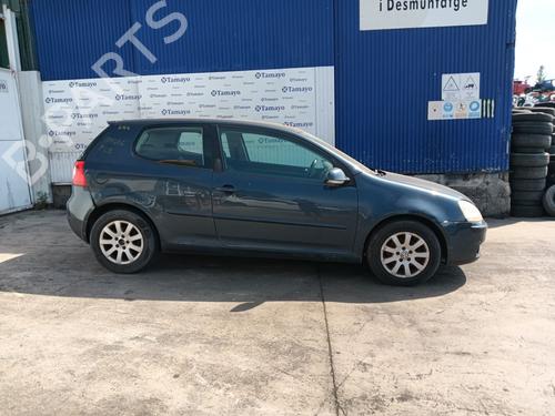 Engine VW GOLF V (1K1) 1.9 TDI | BP29220091M1 