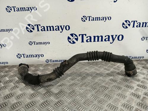 Pipe DACIA DOKKER Box Body/MPV 1.5 dCi 75 / Blue dCi 75 (FEJW, FEAH) | BP30846124M125