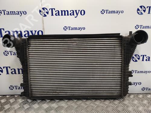Intercooler VW GOLF V (1K1)  | BP22900309M30 