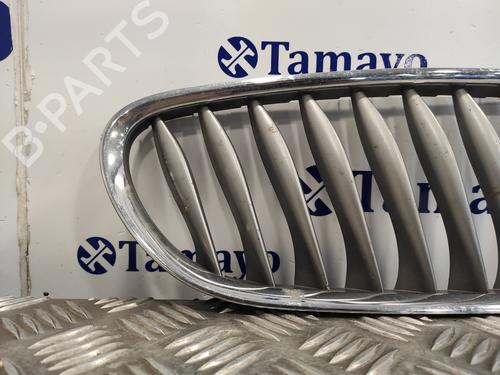 Grille BMW Z4 Roadster (E85)  | BP19647278C40 