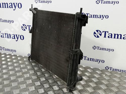 Water radiator RENAULT CLIO III (BR0/1, CR0/1) 1.2 16V (BR02, BR0J, BR11, CR02, CR0J, CR11) | BP7659013M31 