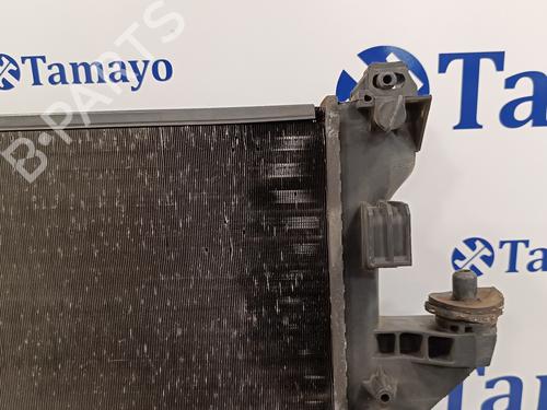 Water radiator FIAT DUCATO Van (250_)  | BP15772417M31 