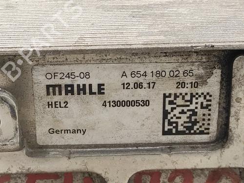 Oil radiator MERCEDES-BENZ A-CLASS (W177)  | BP14358833M33 
