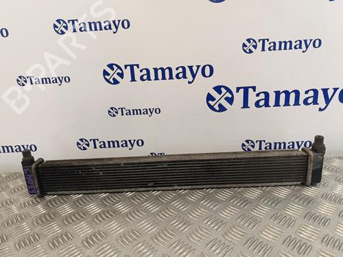 Water radiator TOYOTA PRIUS (_W3_)  | BP18167828M31