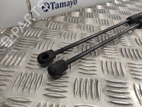 Tailgate lift support SKODA OCTAVIA II (1Z3) 1.9 TDI | BP22697386C138 