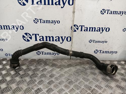 Rohr RENAULT KANGOO Express (FW0/1_) 1.5 dCi 75 (FW07, FW10, FW04) | BP30028187M125 