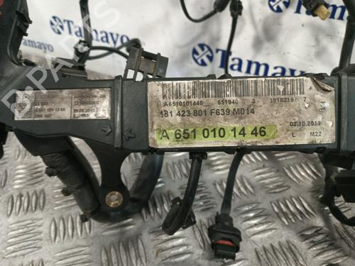 Wiring harness MERCEDES-BENZ VIANO (W639)  | BP29709359E16 