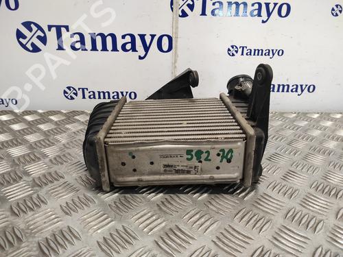 Intercooler VW POLO (9N_, 9A_)  | BP24107228M30 
