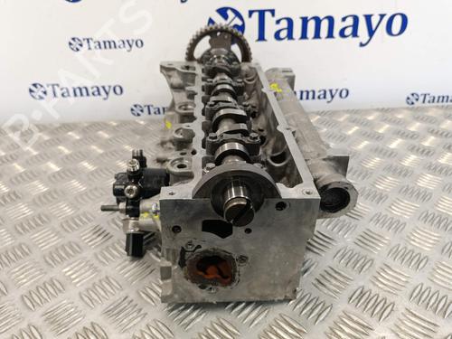 Cylinder head RENAULT MEGANE II (BM0/1_, CM0/1_)  | BP23279189M5 
