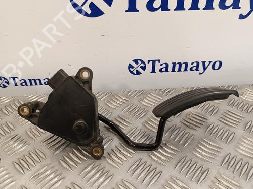 Pedal RENAULT CLIO III (BR0/1, CR0/1) 1.5 dCi (BR0H, CR0H, CR1S, BR1S) | BP17019924I4 
