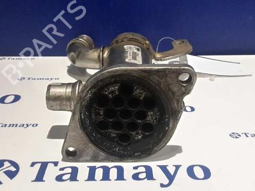 Egr PEUGEOT 407 (6D_) 2.0 HDi 135 (6DRHRH, 6DRHRE, 6DRHRG, 6DRHRJ) | BP14359744M69 