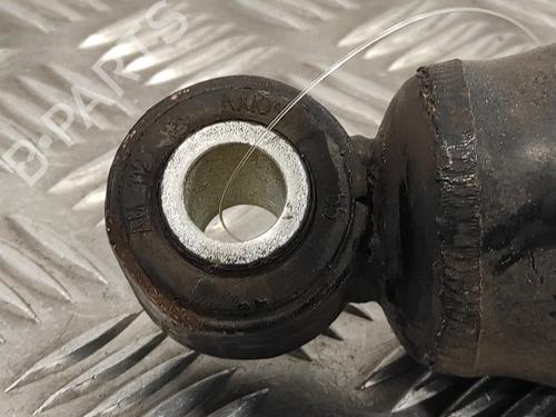 Right rear shock absorber FIAT DUCATO Van (250_)  | BP13317751M19 