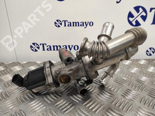 Egr FIAT GRANDE PUNTO (199_) 1.3 D Multijet (199.AXD11, 199.AXD1A, 199.AXD1B,... | BP11792975M69
