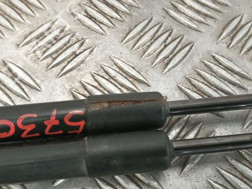 Tailgate lift support BMW 1 (E87)  | BP29190079C138 