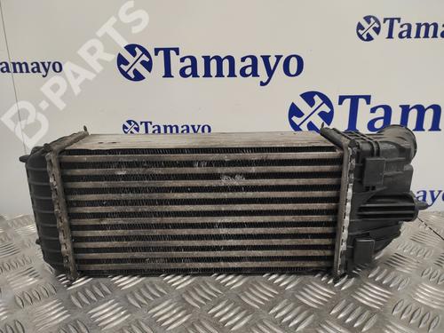 Intercooler CITROËN C3 I (FC_, FN_)  | BP11975060M30 