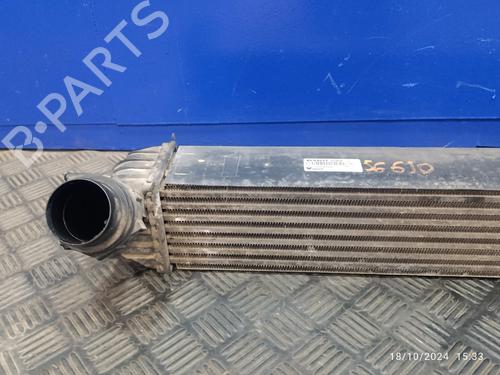 Intercooler RENAULT LAGUNA III (BT0/1)  | BP20490070M30 