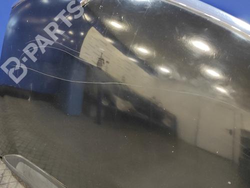 Hood CITROËN C4 Grand Picasso I (UA_) 2.0 HDi 138 | BP10417996C1