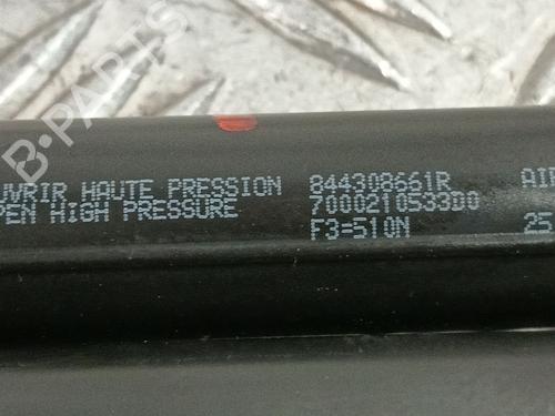 Tailgate lift support RENAULT CLIO IV (BH_) 1.5 dCi 75 | BP31137557C138