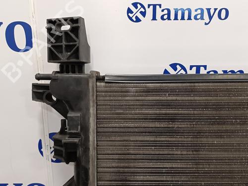 Water radiator FIAT DUCATO Van (250_)  | BP15772417M31 