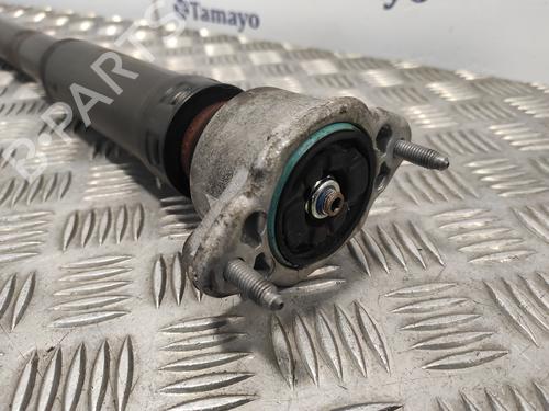 Left rear shock absorber MERCEDES-BENZ E-CLASS (W212) E 350 CDI (212.023) | BP22436818M18 