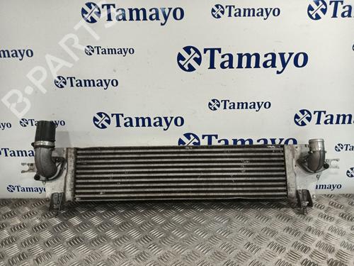 Intercooler NISSAN QASHQAI I (J10, NJ10) 2.0 dCi | BP30396647M30 