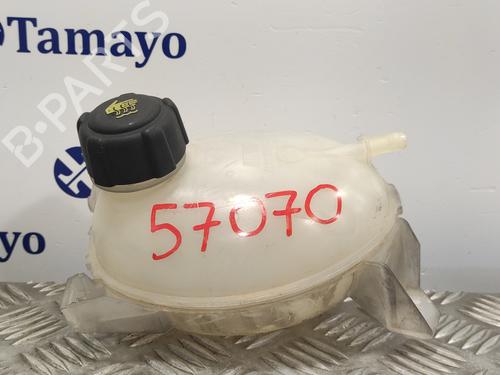 Used Expansion tank RENAULT CLIO IV (BH_) [2012-2021]  19331748