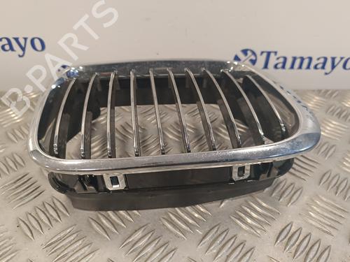 Grille BMW 3 (E46)  | BP17103375C40 