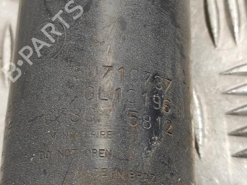 Left rear shock absorber FIAT DUCATO Van (250_)  | BP13317752M18 