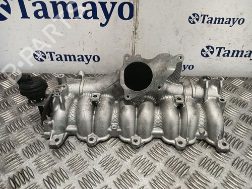 Used Intake manifold AUDI A4 B7 Avant (8ED) 2.0 TDI 16V (140 hp) 29866636