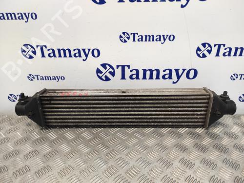 Intercooler FIAT DOBLO Cargo (263_) 1.3 D Multijet | BP21521361M30 