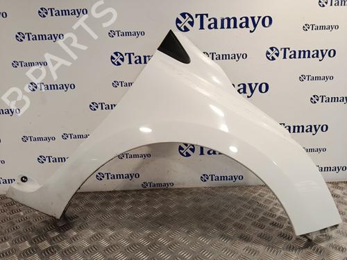 Used Right front fenders RENAULT CLIO III (BR0/1, CR0/1) 1.5 dCi (75 hp) 31044612